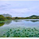 화랑유원지 이미지