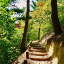 수리산산림욕장 | 수리산 산림욕장, 숲속 힐링의 특별한 경험