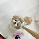 쿠앤밤상점 이미지