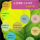 [강좌] ＜수경재배 기초과정＞ 성북수경재배네트워크 이미지