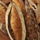 구미가당김 이미지