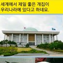 개집 Daum카페