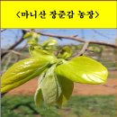 장준농장 이미지