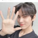 파게스트 이미지