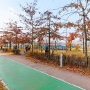 대덕구 산호빛 공원 이미지