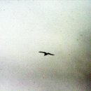 우리내과의원 이미지