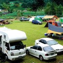 동아오토 이미지