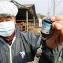 동명가축병원 뉴시스