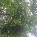 여주나무요양병원 이미지