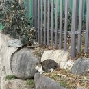 신조세차장 | #73 1월 마무리