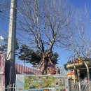 충주스파렉스 이미지