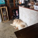 우복농장 이미지