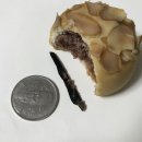 오색화장품 이미지