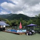 별아래 펜션 | 밀양 10만원대 애견펜션 추천 근처 계곡과 수영장이 있는 별아래펜션 노란별 이용후기