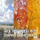 열두달 국내 여행지 추천 & 인생사진 찍기 | 국내 가을 여행지 추천 단풍 억새 명소 BEST3