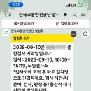 강남자동차 정비검사소 티스토리