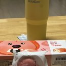 엔젤세탁나라 | 임신 30주차 일상일기(얼쓰빕/아기 용품 당근/빕친자/31주 정기검진 후기)