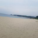 죽변198 네이버블로그