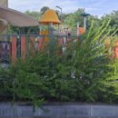 공동직장 푸른들어린이집 이미지