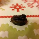 오렌지게스트하우스 이미지