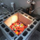 폭스싸롱 | 광주 첨단카페 아싸롱 마카롱 맛있어 / 디저트카페 ASSALON