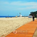삼척해수욕장C 이미지