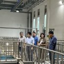 금빛환경 이미지