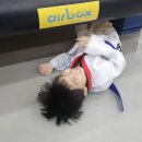 서초용인대태권도 이미지