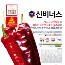 신비너스 이미지