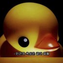 머다 Daum카페