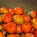 창원농장 이미지