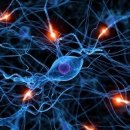 아크로짐 구리역점 이미지