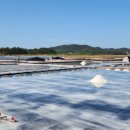 천사퍼플민박 이미지