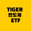 (주)알앤유자원기술 | TIGER 반도체 ETF(091230) 국내 투자 분석하기