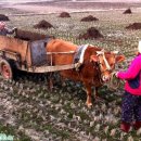 섬진강도깨비마을 이미지