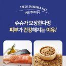 슈슈퍼피 네이버블로그