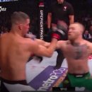 구미거북복싱 이미지