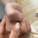 나드리 애견 이미지