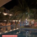 호텔파파야 | 🏝️ 보홀 숙소 추천 내돈내산 3곳｜헤난·그린파파야·로만리조트 후기