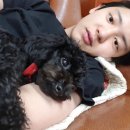 개스타