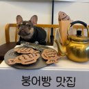 티아라 펫 | 2026.02