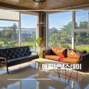 스테이보보 | 제주 서쪽 펜션 추천 : 에어비앤비 애월 감성 숙소 보보스테이