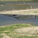 별장민박 이미지