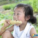 김상경 농장 이미지