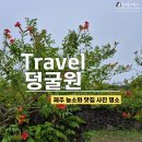 농업회사법인㈜모아 | 덩굴원 제주, 제주 능소화 명소 사진찍기 좋은 곳, 제주 덩굴원 입장료, 카페 덩굴덩굴