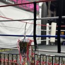 백프로 복싱체육관 이미지