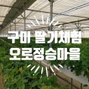오로정승마을영농조합법인 이미지