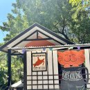 캣츠카페(CATS TIME CAFE) | 길리, 고양이 천국 "힐링 끝판왕 2곳" - 캣츠오브길리, 루니롬복 (Cats of Gili, Luni Lombok) 탐방기