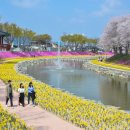 양지천2 이미지