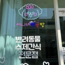 여니네 펫공방 이미지